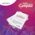 ABSL x Brandfizz Compass Report